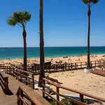 شقة Barracuda A14 *