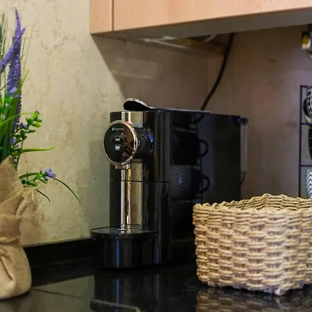 Barracuda A14 阿尔布费拉