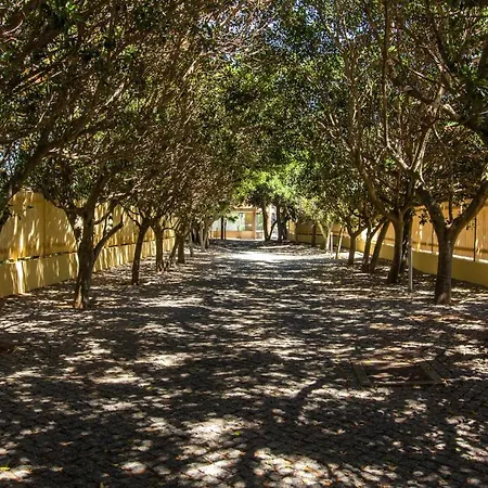 Barracuda A14 Appartamento *