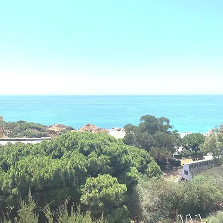 Barracuda A14 公寓 *