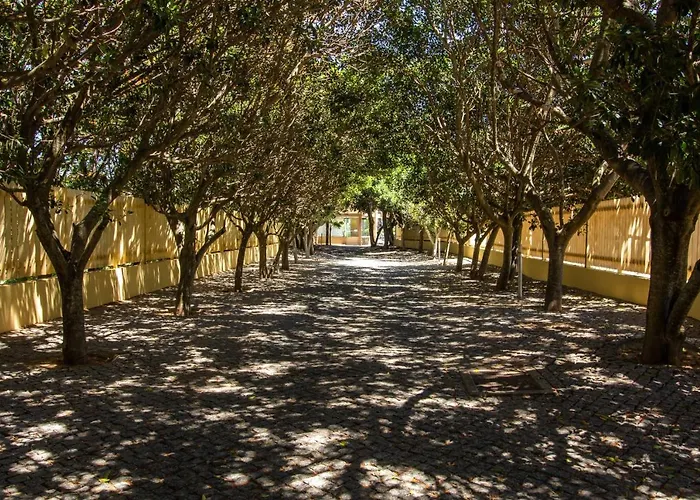 Barracuda A14 Apartamento *