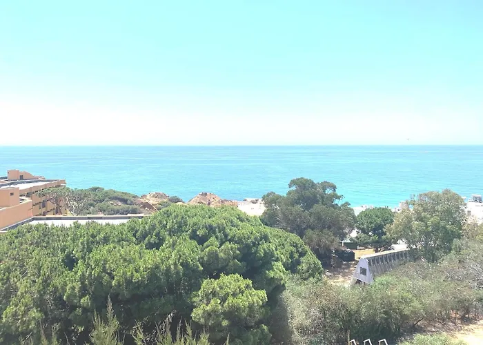 Barracuda A14 アパート *