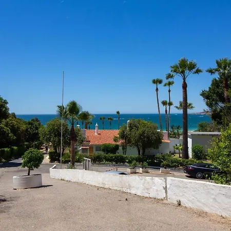 Barracuda A14 * Αλμπουφέιρα