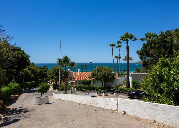 Barracuda A14 * Αλμπουφέιρα