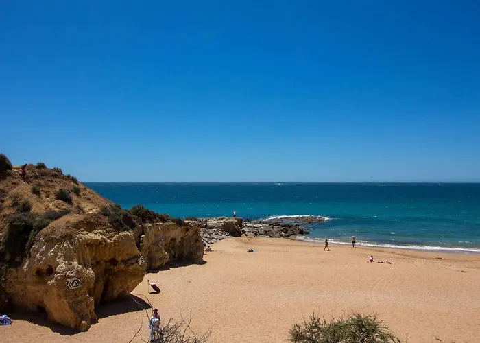 Barracuda A14 Διαμέρισμα *